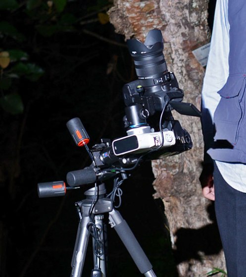 DSC_2898-Polarie-Setup